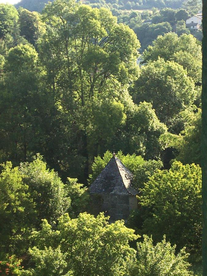 La Maison Sur La Riviere Vabre Экстерьер фото